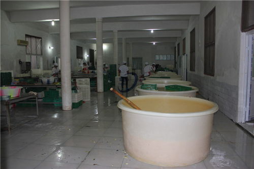 【沙坪坝区蜜饯腌制桶生产厂家】- 