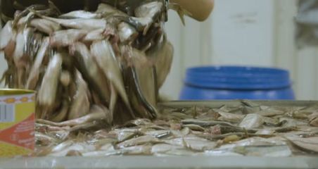 实拍:世界上最臭的工厂,每个工人都已练就“百毒不侵”的身体