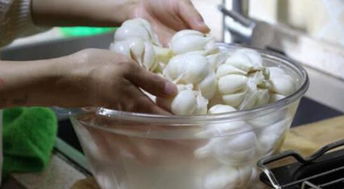 怎样腌制糖蒜 糖蒜的正确腌制方法窍门