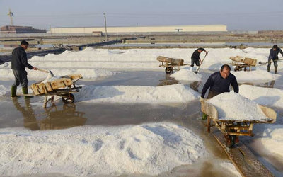 腌制盐工作现场