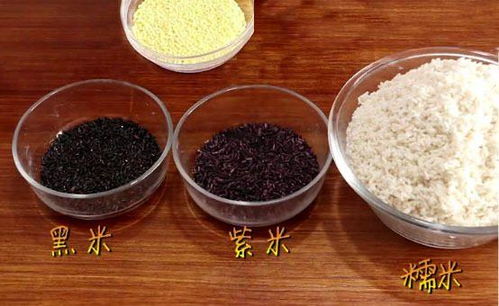 9种口味粽子馅料,全部打包,总有一款适合你