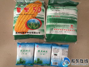 招远警方开展 假盐换真 健康伴你行 活动图