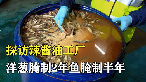 探访辣酱油工厂 洋葱要腌制2年,鱼要腌制半年