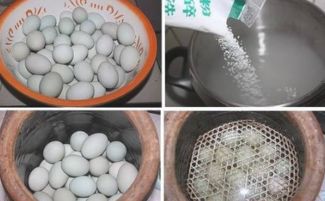 腌鸭蛋用什么盐 咸鸭蛋怎么腌