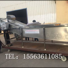  苍山县双福蔬菜加工厂 主营 保鲜牛蒡 腌制牛蒡