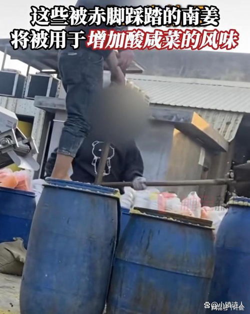 脚踩腌菜背后 315曝光的食品安全隐忧与腌制行业监管之困